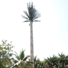 โทรคมนาคม ต้นปาล์ม เหล็ก โมโนโพลทาวเวอร์ จุ่มร้อน กัลวาไนซ์